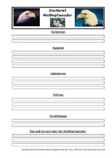 Weißkopfseeadler-Steckbriefvorlage.pdf
